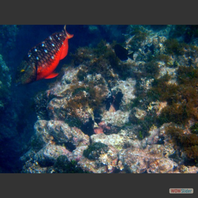 DSCF0019