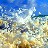 Barbuda-beach waves002