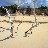 Barbuda-beach-last day009