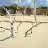 Barbuda-beach-last-day009
