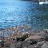 St-Lucia-Beach12