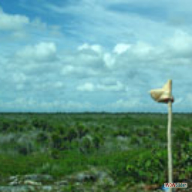 Cozumel11