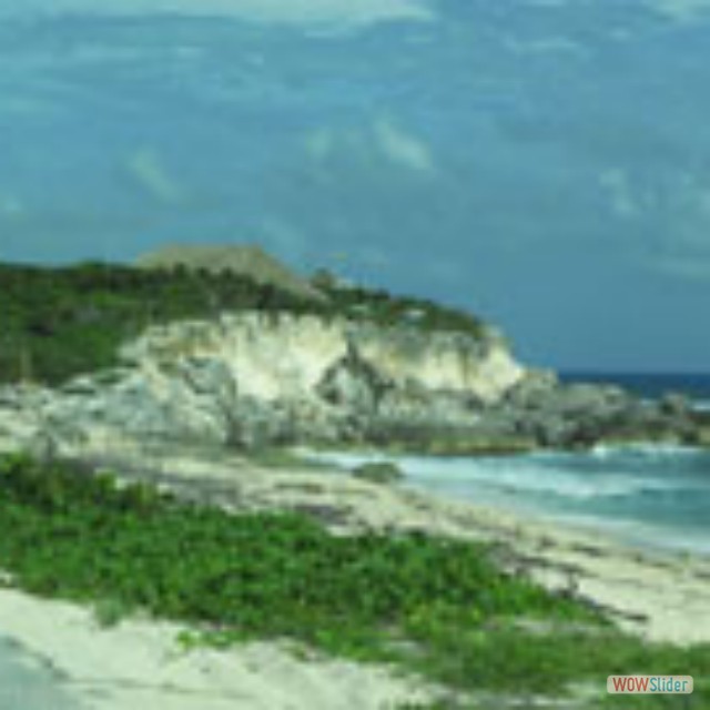 Cozumel19