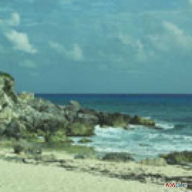 Cozumel20