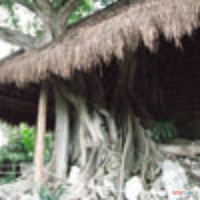 Cozumel40