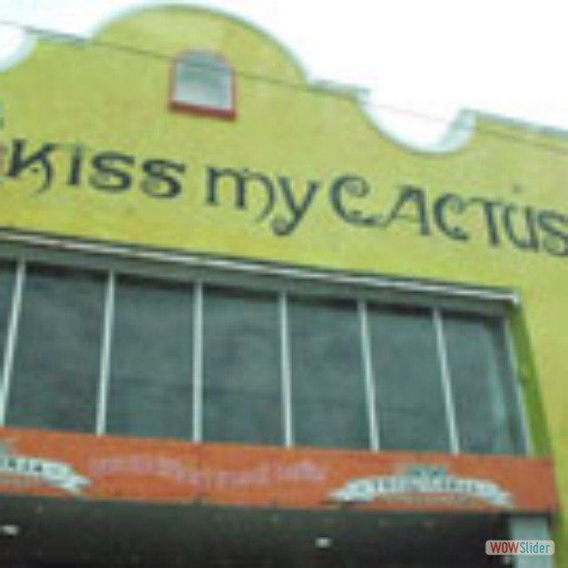 Cozumel47
