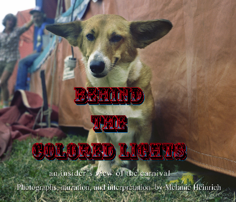 Behind The Colored Lights