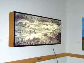 Infrared transparency