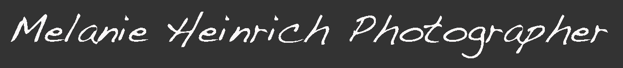 Melanie Heinrich Photographer