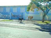 Melanie Heinrich - Travel Images - Caribbean