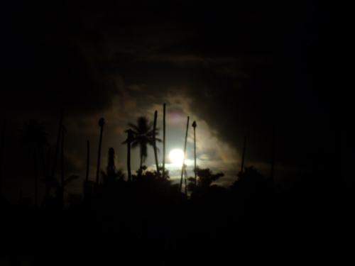 Melanie Heinrich - Travel Images - Nevis
